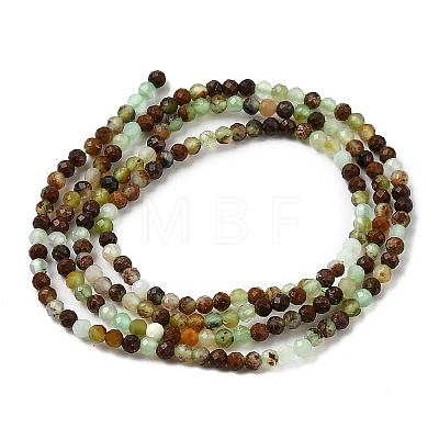 Natural Chrysoprase Beads Strands G-RM250104-B6-1