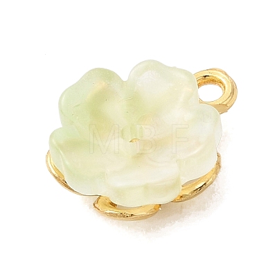Alloy Glass Charms FIND-C079-05G-02-1
