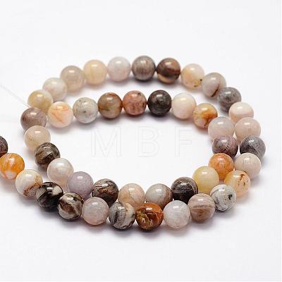 Natural Bamboo Leaf Agate Beads Strands G-F364-02-8mm-1