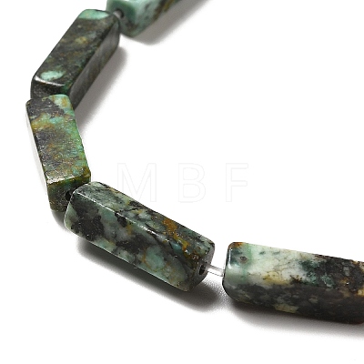 Natural African Turquoise(Jasper) Beads Strands G-F729-01-1