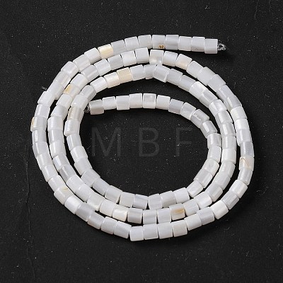 Natural Freshwater Shell Beads Strands BSHE-S304-08-1