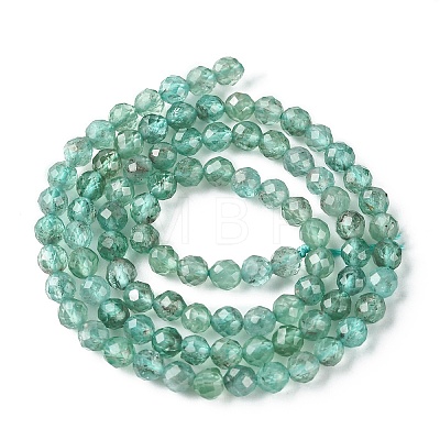 Natural Apatite Beads Strands G-F748-J01-02A-1