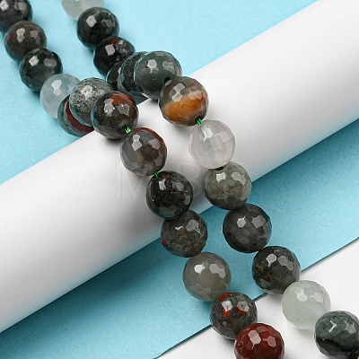 Natural Afican Bloodstone Beads Strands G-C079-B02-02-1