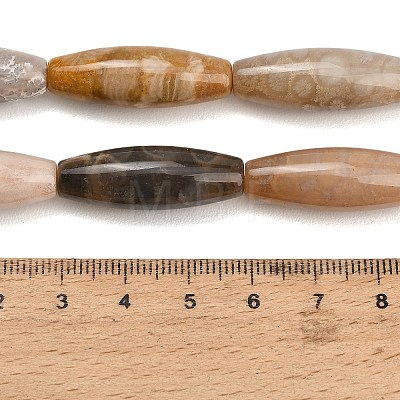 Natural Fossil Coral Beads Strands GG-CBA362F-03-1
