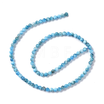 Natural Apatite Beads Strands G-I254-08F-1