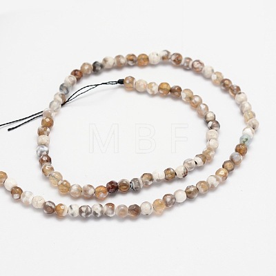 Faceted Natural Agate Round Beads Strands X-G-E318B-4mm-01-1