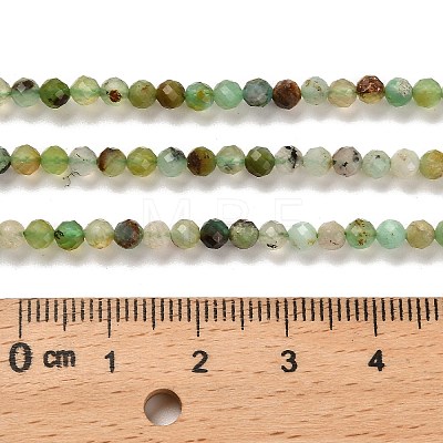 Natural Serpentine Beads Strands G-B107-A05-05-1