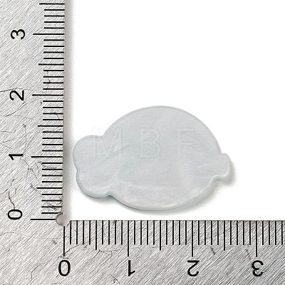 Acrylic Plastic Cabochns OACR-R269-01B-1