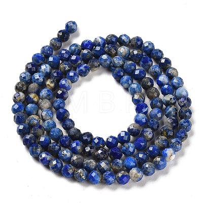 Natural Lapis Lazuli Beads Strands G-Z035-A01-02A-1