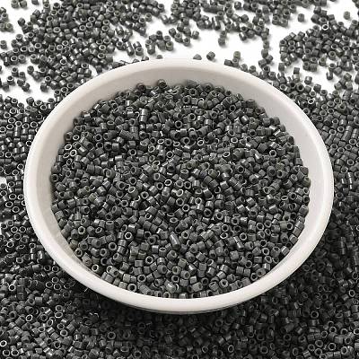 Baking Paint Glass Seed Beads X-SEED-S042-05B-42-1