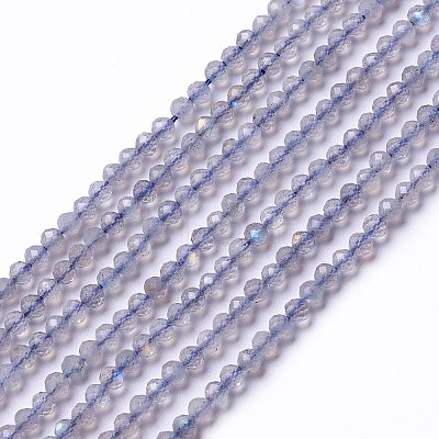 Natural Labradorite Beads Strands X-G-L581A-002-1