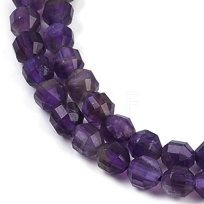 Natural Amethyst Beads Strands G-O201B-106C-1