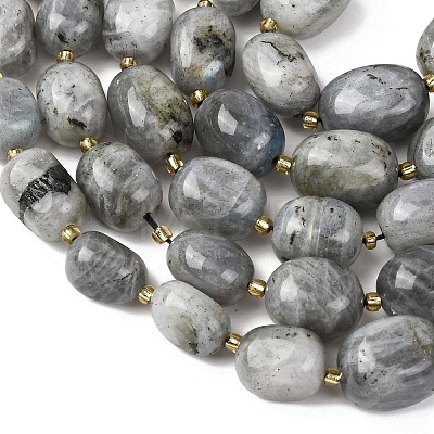 Natural Labradorite Beads Strands G-G453-D10-01-1