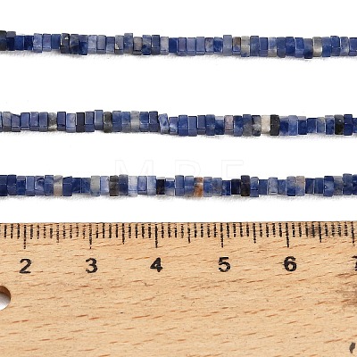 Natural Sodalite Beads Strands GG-CBA2498-C05-01-1