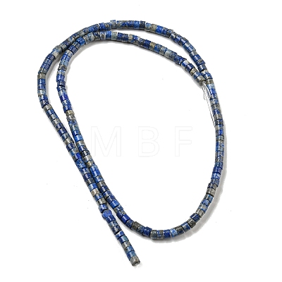 Natural Lapis Lazuli Beads Strands G-C084-D12-02-1