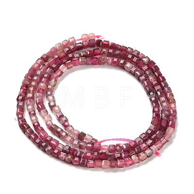 Gradient Color Natural Pink Tourmaline Beads Strands G-K373-A03-01-1