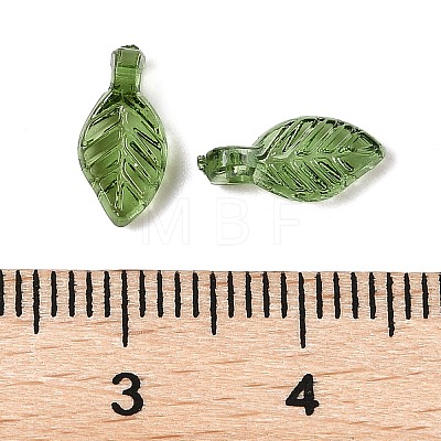 Transparent Acrylic Charms TACR-F009-11D-1