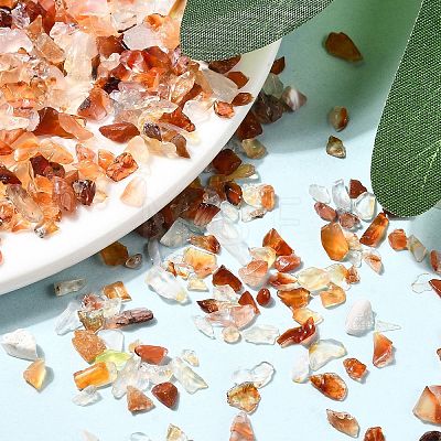 Natural Carnelian Chip Beads G-O103-18-1