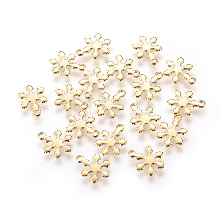 304 Stainless Steel Charms X-STAS-E447-10G-1