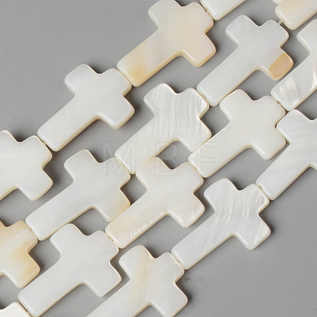 Natural Freshwater Shell Beads Strands X-SHEL-N026-74-1
