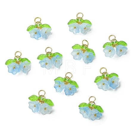 Glass Pendants PALLOY-YW00054-02-1