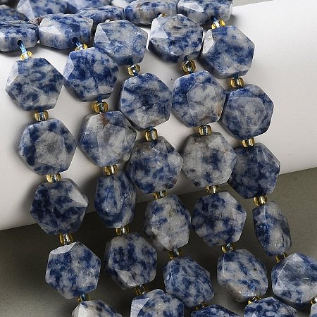Natural Blue Spot Jasper Beads Strands G-H344-B02-01-1