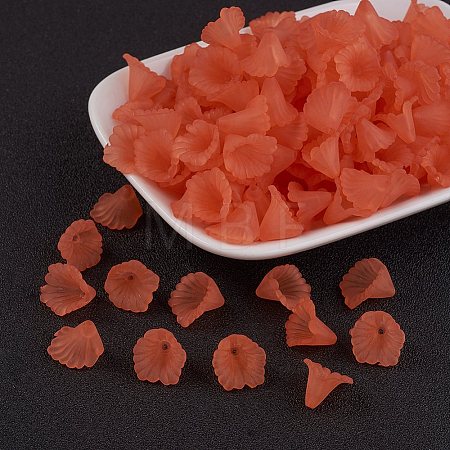 Transparent Acrylic Beads LS-PL622-C12-1