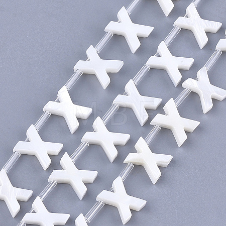Natural Freshwater Shell Beads SHEL-T012-59X-1