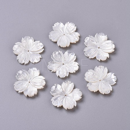 Natural White Shell Beads BSHE-XCP0001-84-1