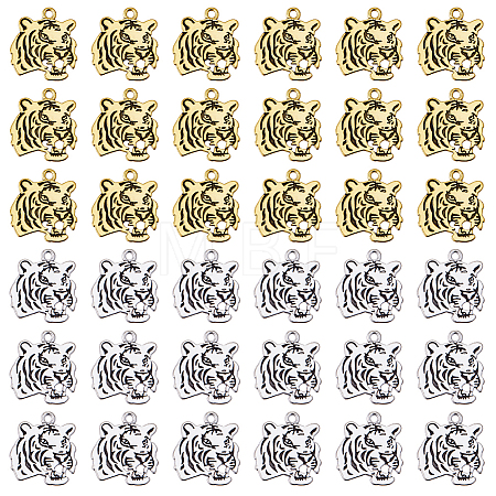 40Pcs 2 Styles Tibetan Style Alloy Pendants FIND-DC0008-53-1