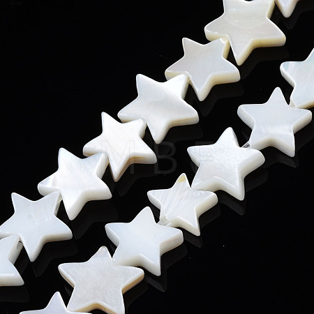 Natural Freshwater Shell Beads Strands SHEL-S278-01B-01-1