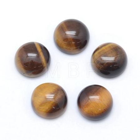 Natural Tiger Eye Cabochons G-E492-H-13-1
