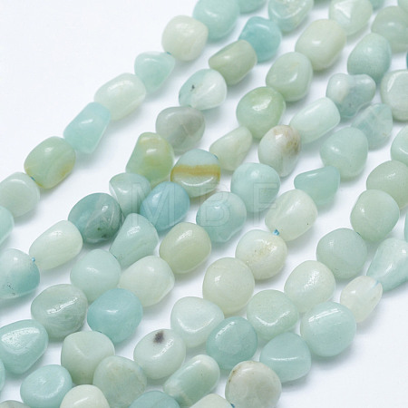 Natural Amazonite Beads Strands G-K203-19-1