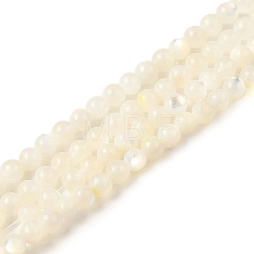 Natural White Shell Beads Strands SHEL-M021-03B-1