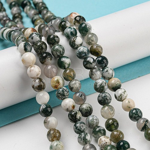 Natural Tree Agate Round Gemstone Beads Strands G-R255-6mm-1