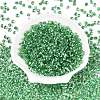 6/0 Baking Paint Transparent Fringe Glass Seed Beads X1-SEED-N006-06K-2