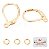 20Pcs 2 Style Brass Leverback Earring Findings with Loop DIY-BBC0001-02G-1