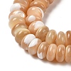 Natural Trochus Shell Beads Strands SHEL-P017-07-3