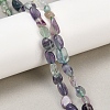 Natural Fluorite Beads Strands G-K395-B07-01-1