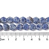 Natural Blue Spot Jasper Beads Strands G-K359-C17-01-5