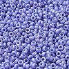 Baking Paint Glass Seed Beads SEED-P006-03A-34-3