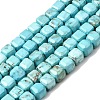 Natural Howlite Bead Strands G-H345-C01-01-2