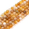 Natural Agate Beads Strands G-H1593-8mm-01-1