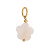 Natural Shell Pendants SHEL-OY009-82G-1