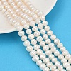 Natural Cultured Freshwater Pearl Beads Strands PEAR-I007-07J-08A-1