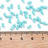 Baking Paint Glass Seed Beads SEED-A033-04P-4