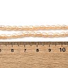 Natural Cultured Freshwater Pearl Beads Strands PEAR-I007-01L-03-5