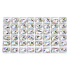 48Pcs Glass Rhinestone Cabochons MRMJ-N029-03-13-1