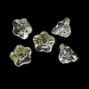 Baking Paint Transparent Glass Beads GLAA-T025-81C-07-1