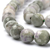 Natural Peace Jade Beads Strands G-Q462-110-10mm-3